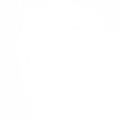 asp-villaz-logo-white-2